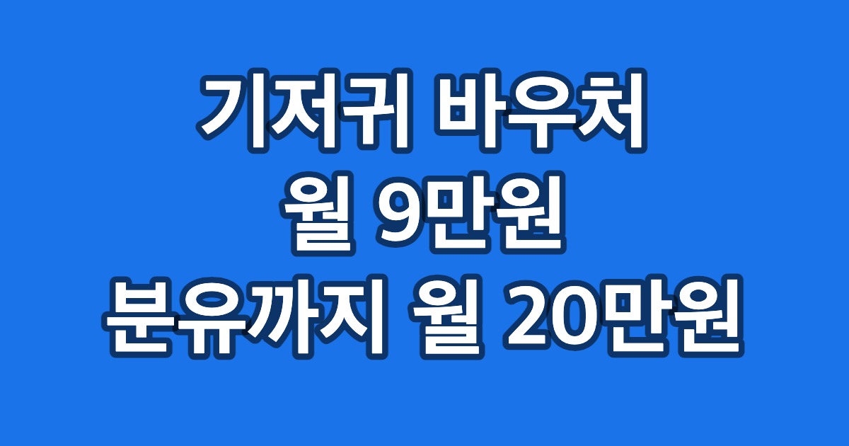 기저귀 바우처 월 9만원 분유까지 월 20만원