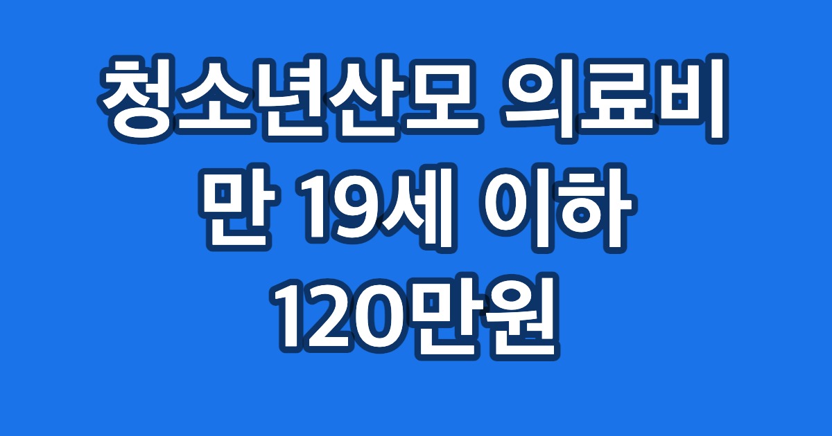 청소년산모 의료비 만 19세 이하 120만원