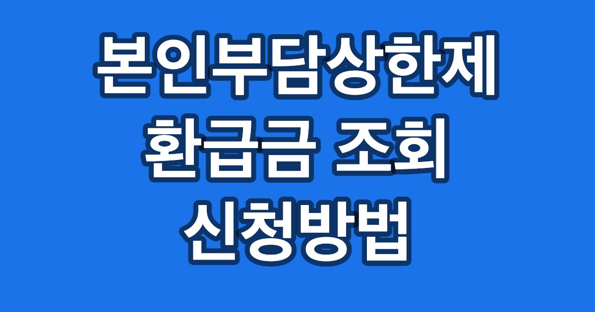 본인부담상한제 환급금 조회 신청방법