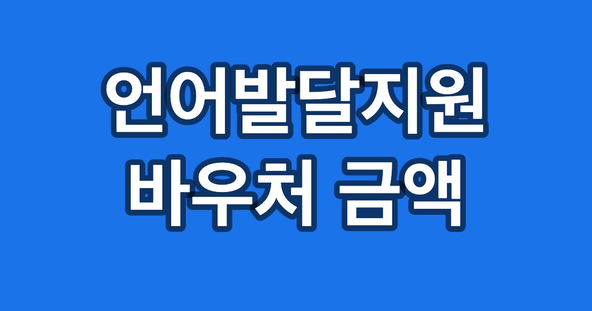 언어발달지원 바우처 금액