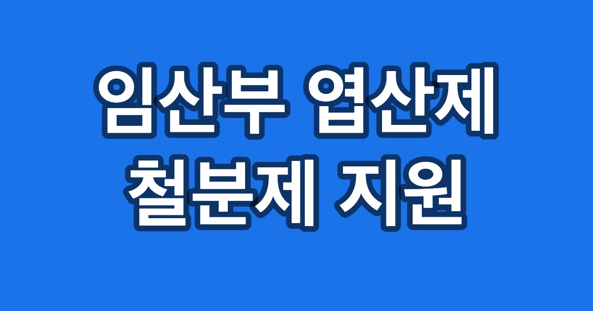 임산부 엽산제 철분제 지원