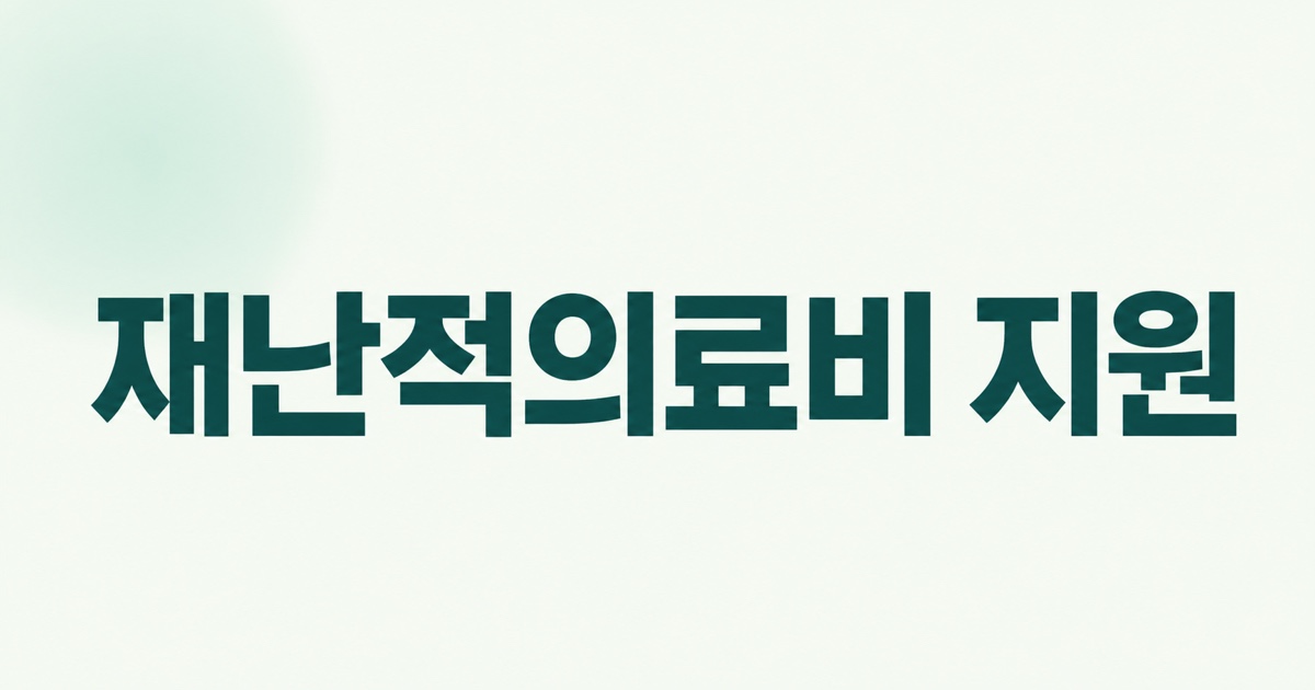 재난적의료비 지원