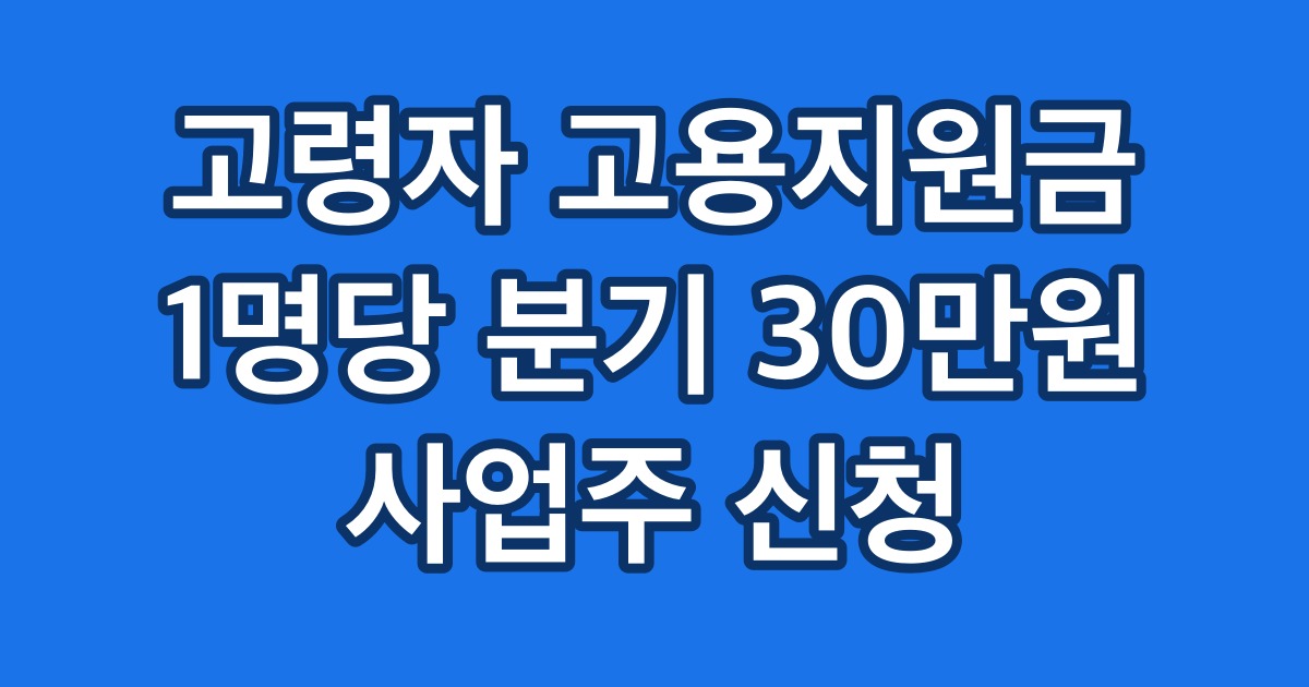 고령자 고용지원금 1명당 분기 30만원 사업주 신청