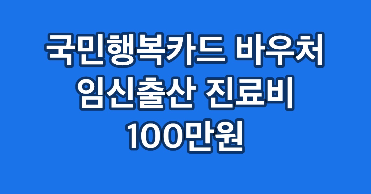 국민행복카드 바우처 임신출산 진료비 100만원