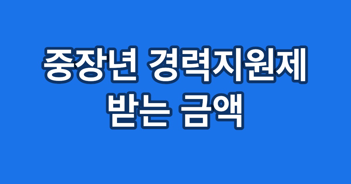 중장년 경력지원제 받는 금액